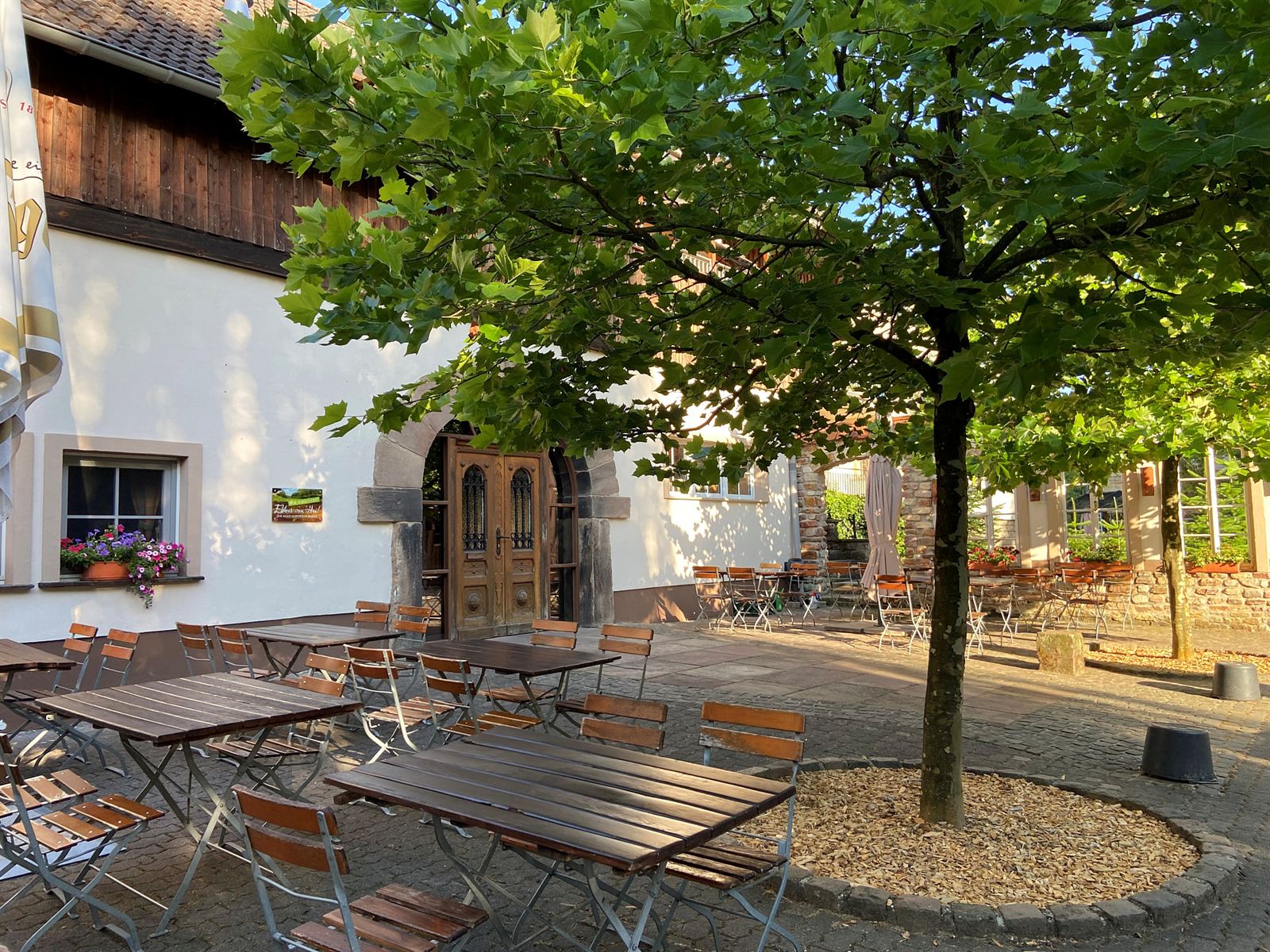 Terrasse und Biergarten am Forsthof unter altem Baum