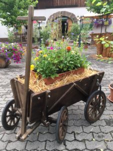 Bollerwagen mit Sommerblumen